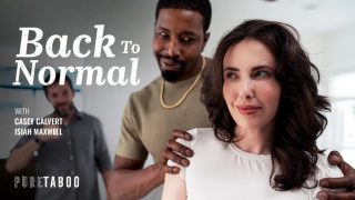 Pure Taboo – Back To Normal