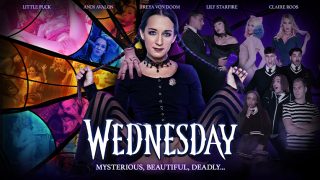Teamskeet – Wednesday (vip Early Access)