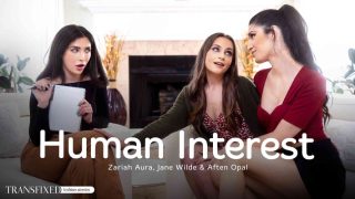 Trans Fixed – Human Interest