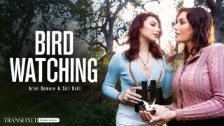 Trans Fixed – Bird Watching