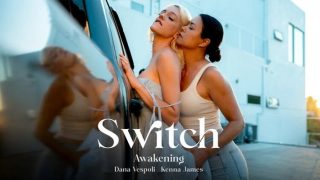 Adulttime – Switch: Awakening